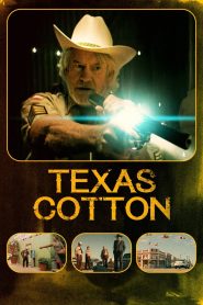 Texas Cotton